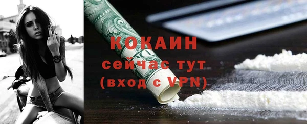 твердый Протвино