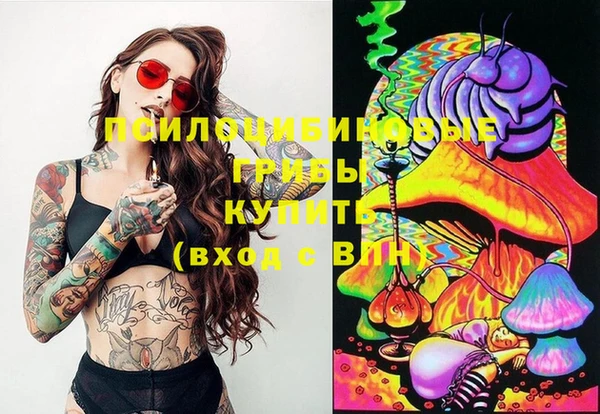 mix Горнозаводск